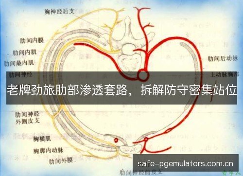 老牌劲旅肋部渗透套路，拆解防守密集站位